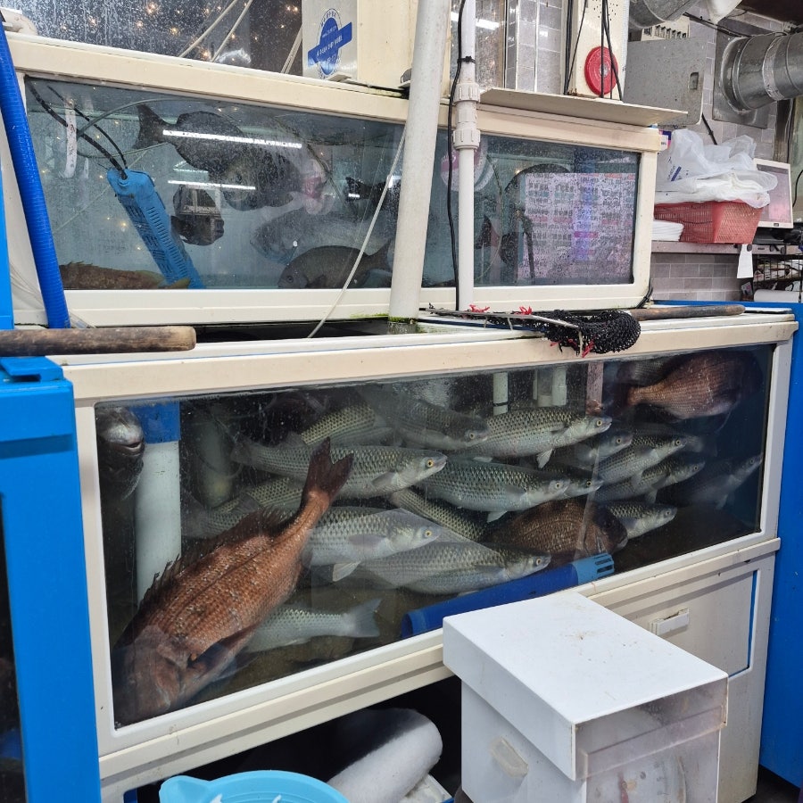 사천횟집 사진 4