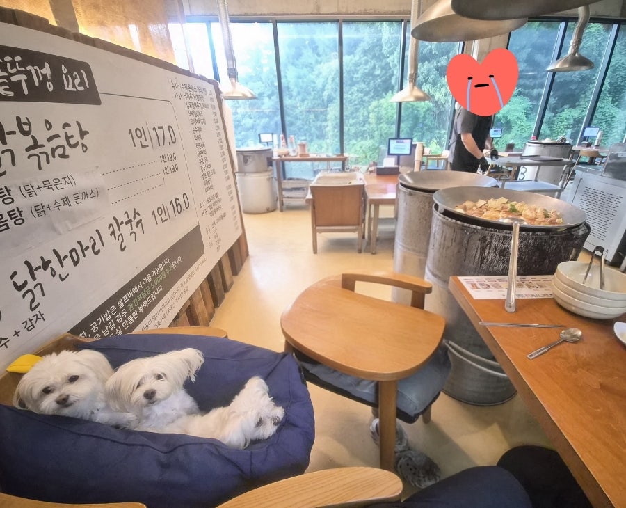 솥뚜껑 닭볶음탕 남양주본점 사진 2