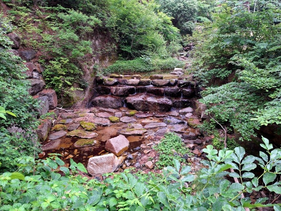 오도산 치유의숲 사진 6