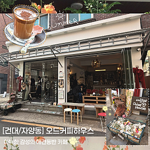 [건대/자양동] 오드커피하우스 고양이가 있는 아늑한 카페 내돈내산 후기