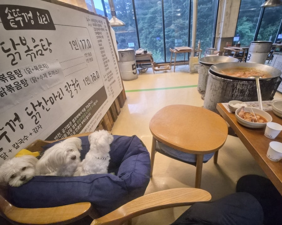 솥뚜껑 닭볶음탕 남양주본점 사진 4