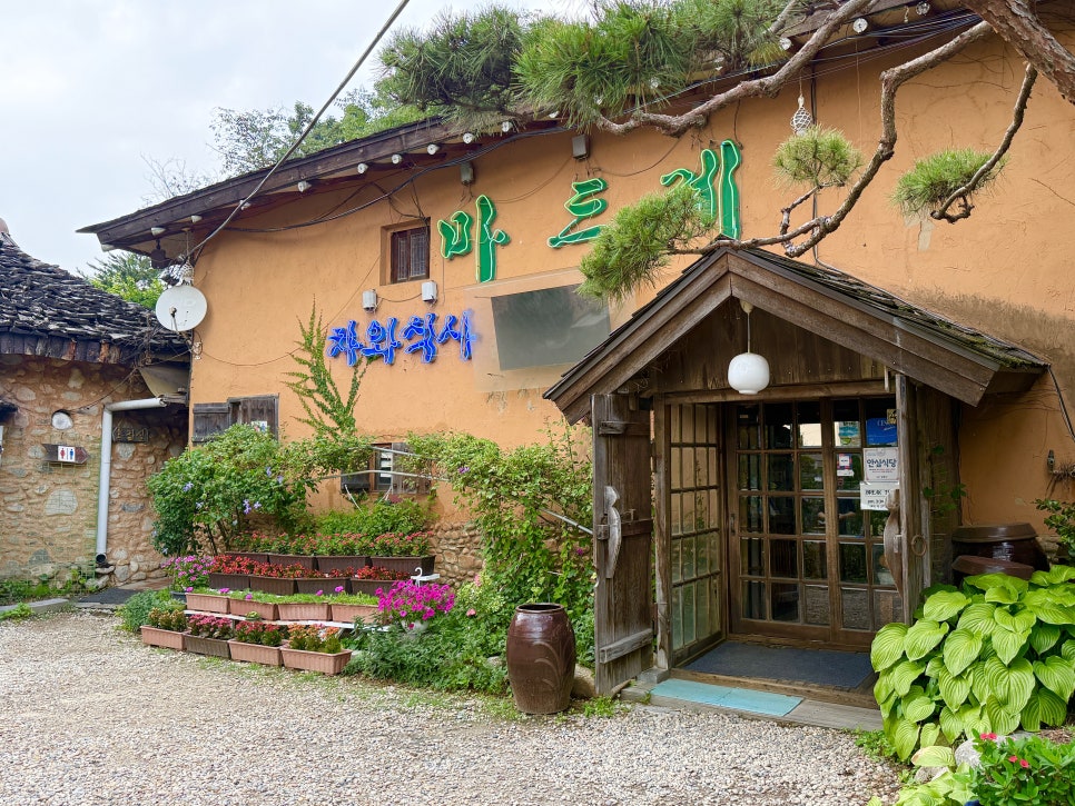마드레 사진 6