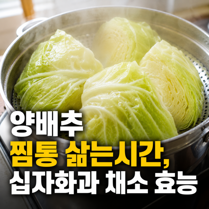 양배추 찜통 삶는시간, 십자화과 채소 효능 어디에 좋길래?