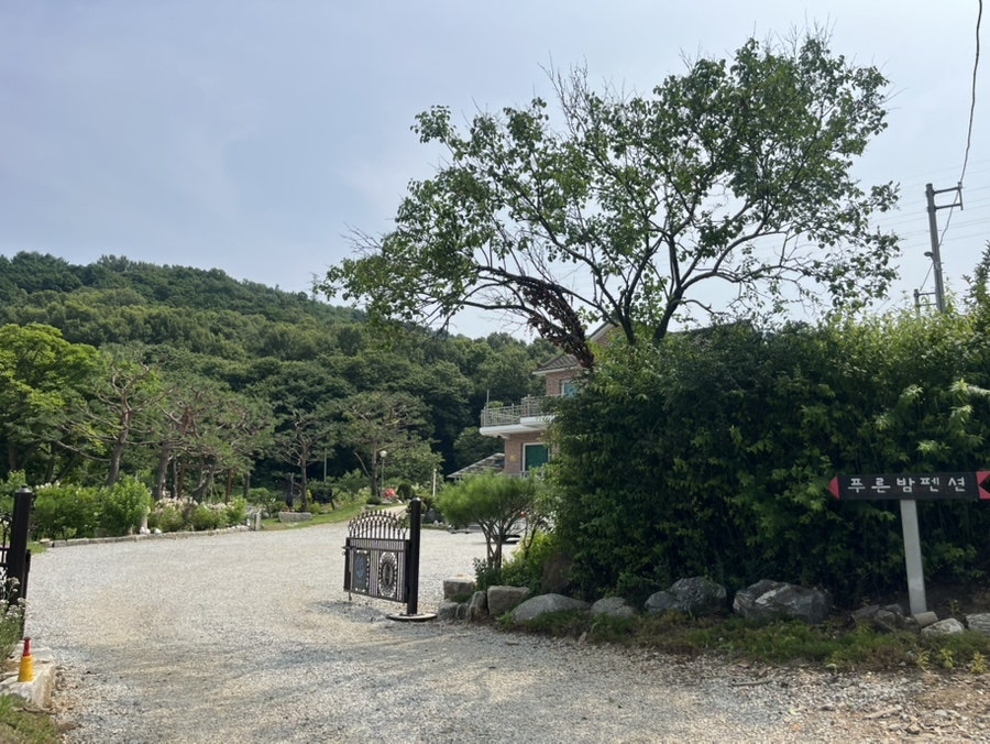 강화도푸른밤펜션 사진 4