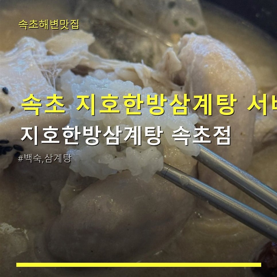 지호한방삼계탕 속초점