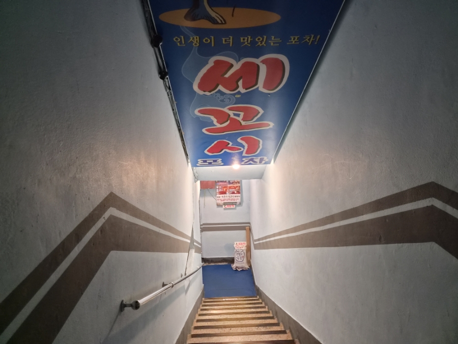 산오징어 사진 2