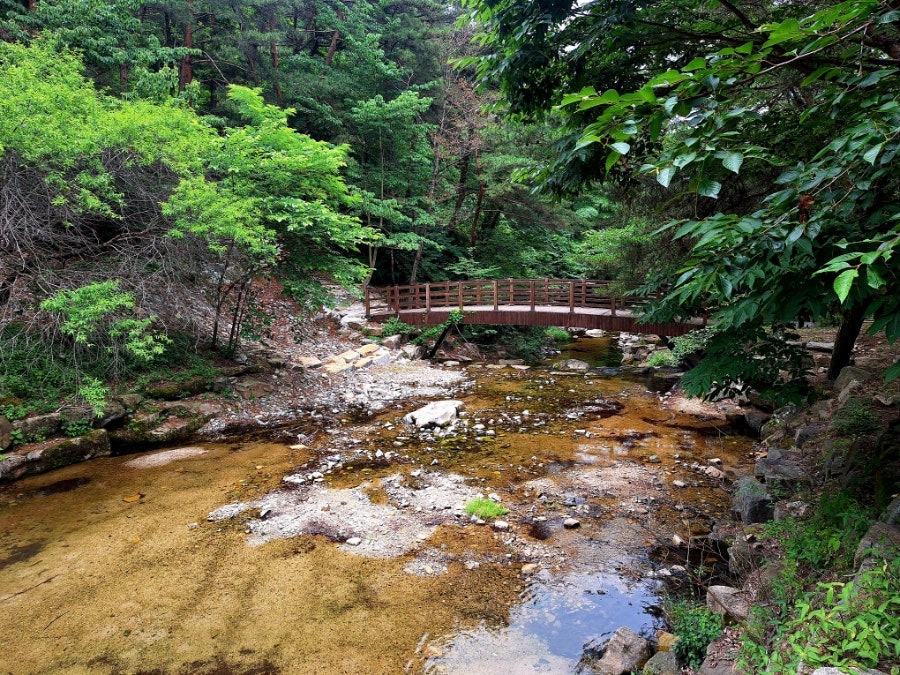 오도산 치유의숲 사진 3