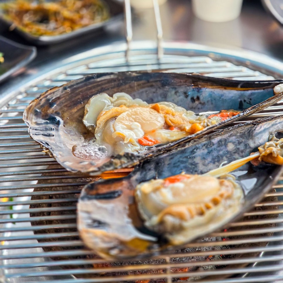 제이제이가리비 사진 4