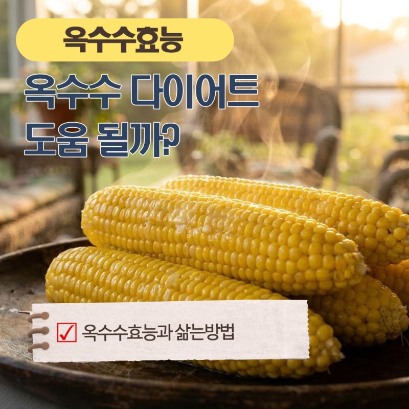 이걸로 다이어트 되나,찐 옥수수 효능과 맛있게 삶는 방법