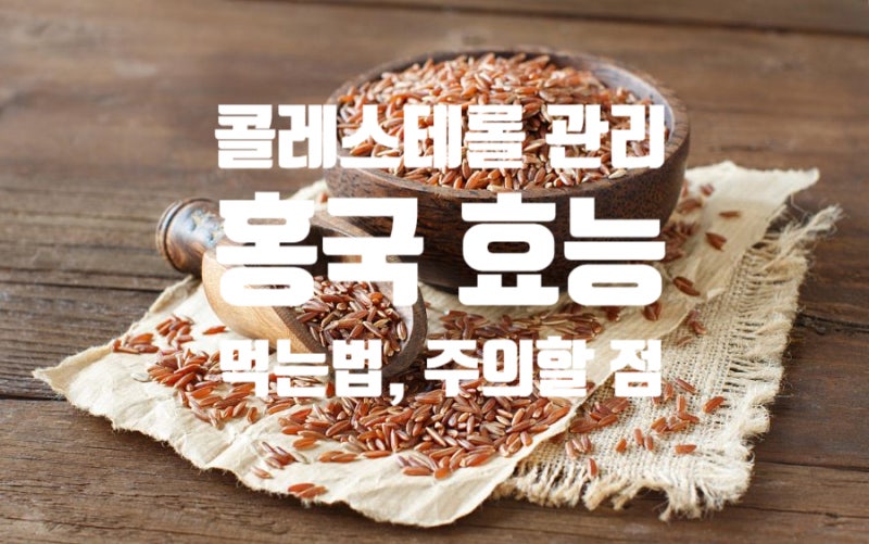 홍국 효능 먹는법 부작용 혈관건강 도우미 모나콜린 K