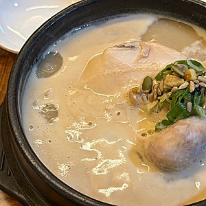 종로 서촌 삼계탕 맛집 토속촌삼계탕 | 혼밥 솔직 후기
