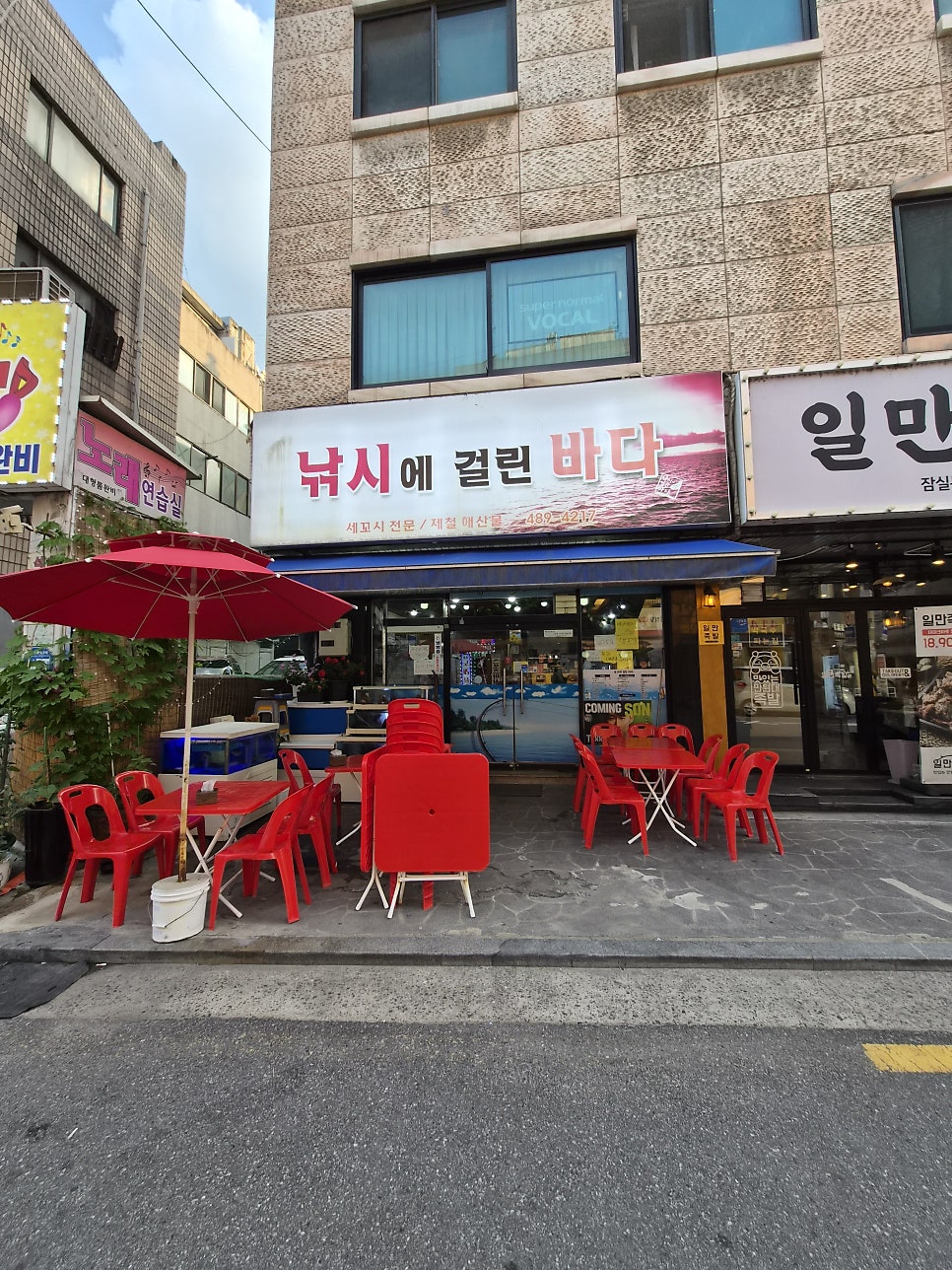 낚시에걸린바다 사진 6