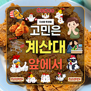 코스트코 소바바 황금홀릭 순살치킨 에어프라이어 8분 후기