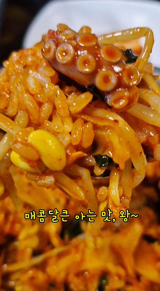 길손 사진 3