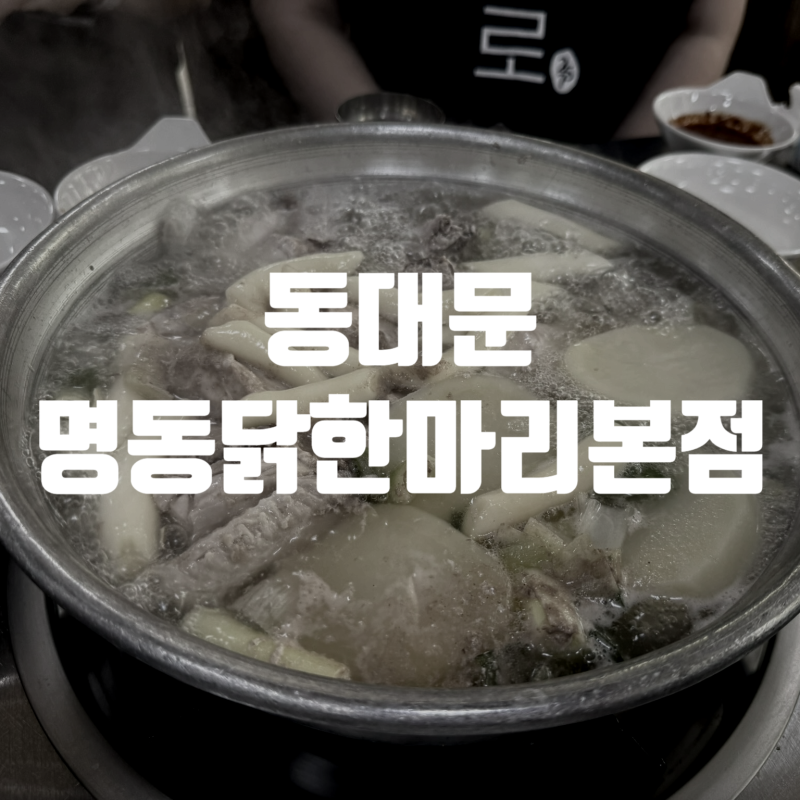 26.06 동대문 명동닭한마리 본점(닭한마리)