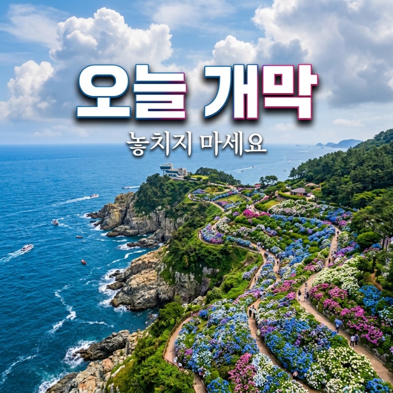 태종대 수국축제 2026, 오늘 개막! 장마 뚫고 즐기는 완벽 가이드