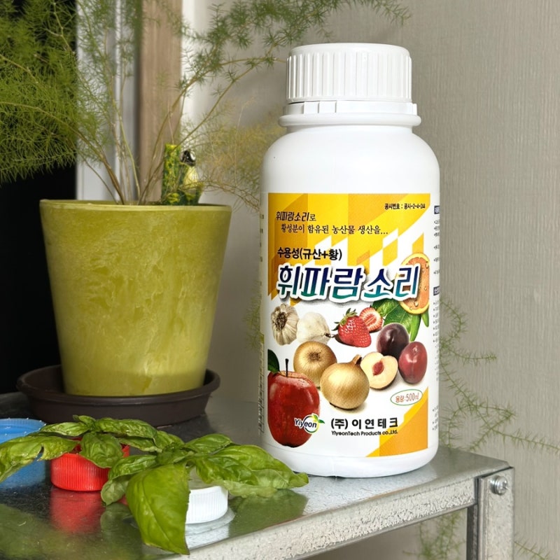 식물영양제 추천 | 친환경 유황규산 휘파람소리로 베란다 텃밭 튼튼하게 키우기