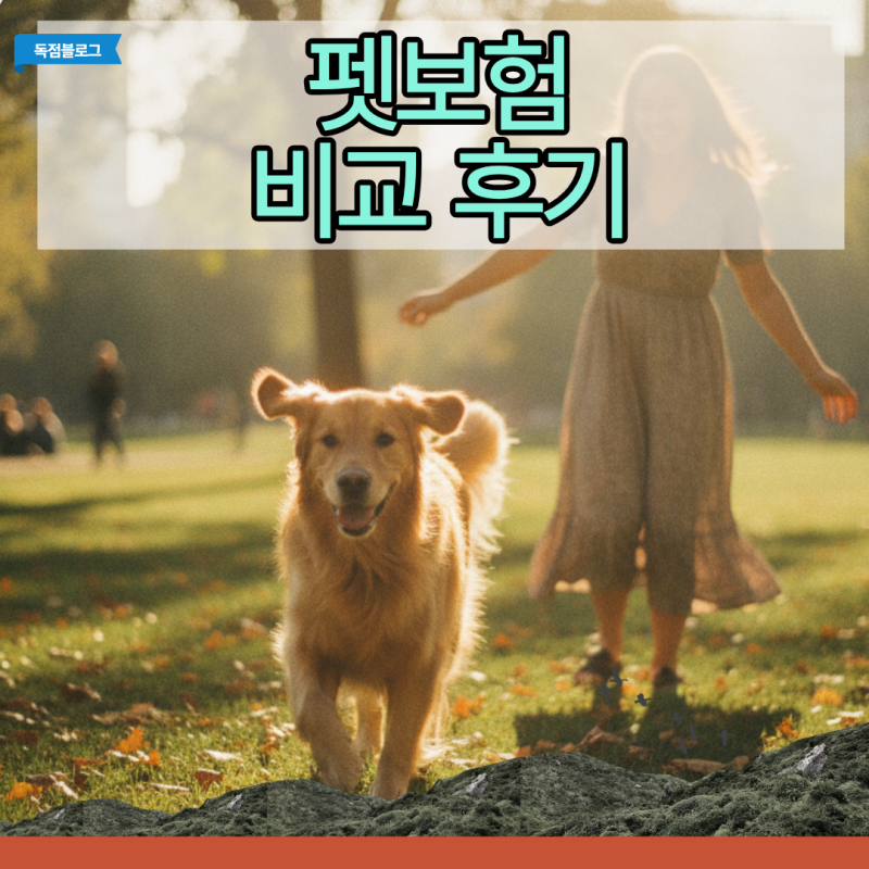 펫보험 비교 후기, 메리츠 카카오 삼성 3사 정밀 분석으로 연 72만원 아낀 내돈내산 결산