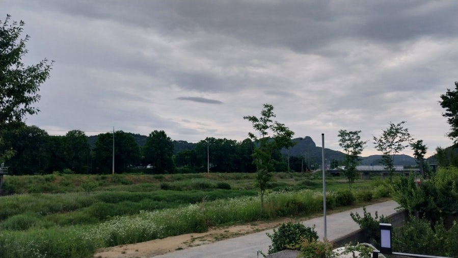 두촌카페 사진 2