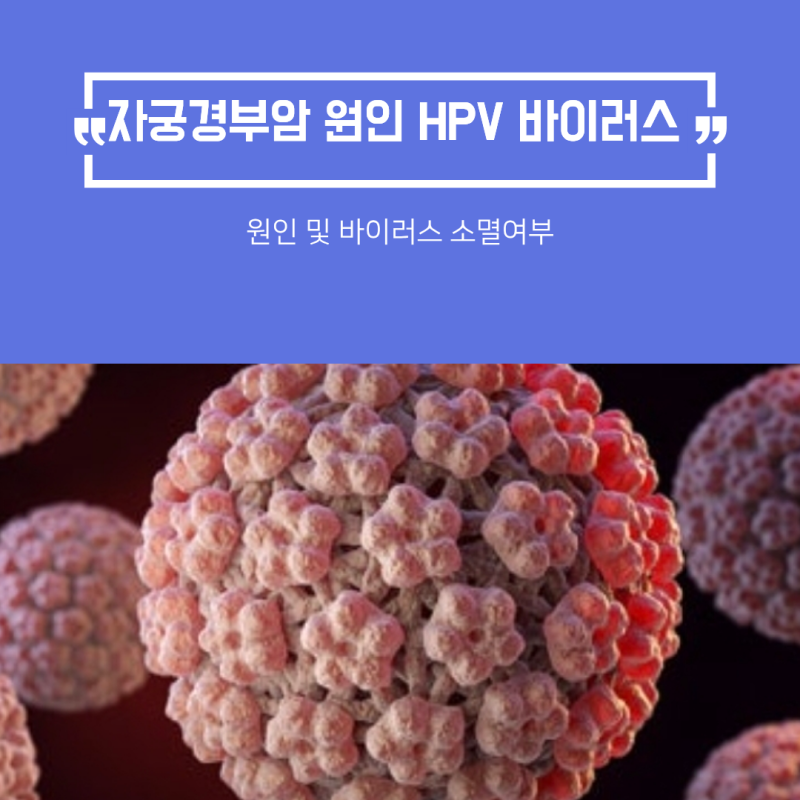 자궁경부암의 원인 HPV 바이러스 원인 및 소멸 여부
