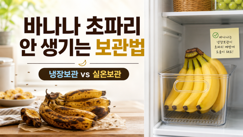 바나나 초파리 안 생기는 보관법, 냉장보관법 vs 실온보관법! 무작정 방치하면 주방 날파리 ....