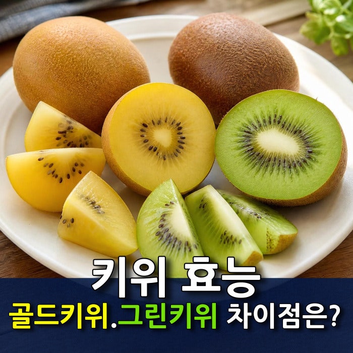 키위 효능 골드키위 그린키위 칼로리와 혈당지수