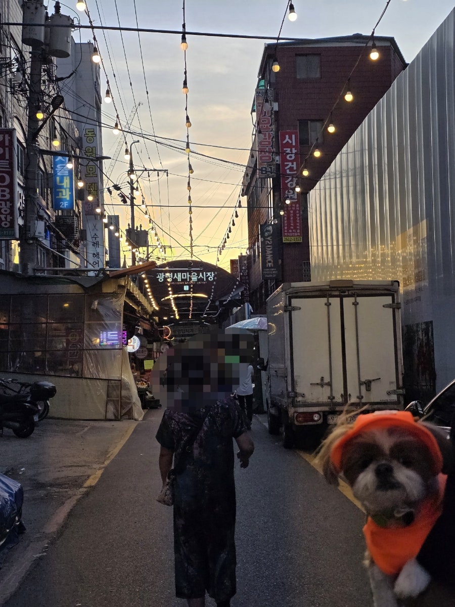 덤버거 사진 3