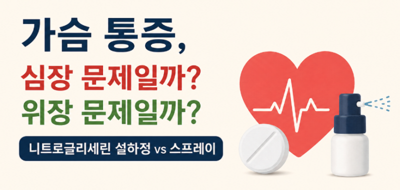 가슴 통증, 심장 문제일까? 위장 문제일까? 협심증·역류성 식도염 구별법과 니트로글리세린 ....
