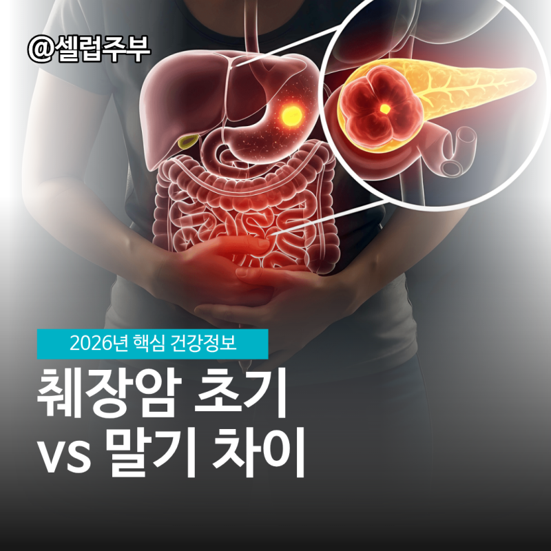 췌장암초기증상 왜 늦게 보일까? 말기증상 차이 까지