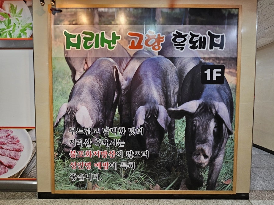 지리산고향흑돼지 사진 2