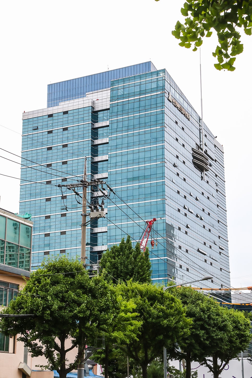 차오 사진 4