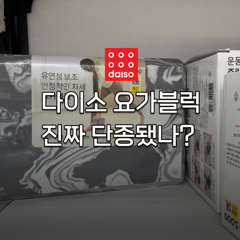 한때는 국민템이었던 다이소 요가블럭, 지금은 단종?