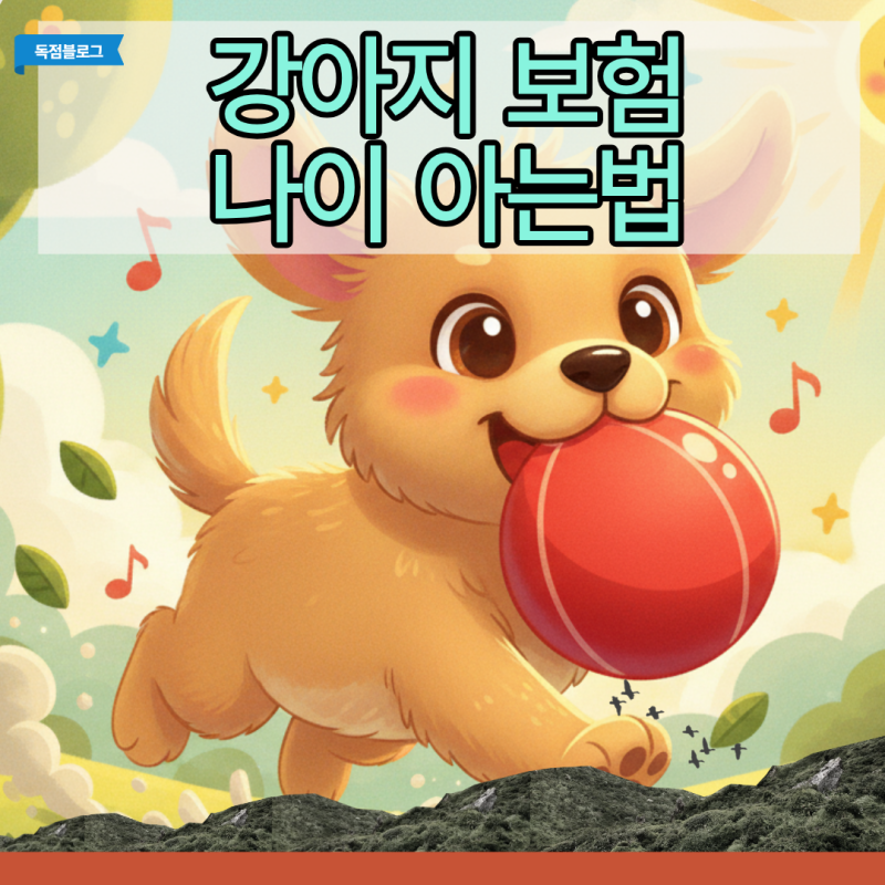 강아지 보험 나이 아는법, 유기견 치아 상태와 수의사 소견으로 50만원 아낀 비결