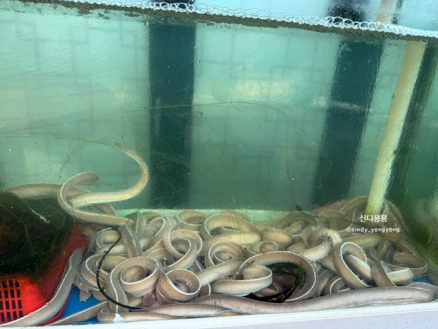 목동장어 본점 사진 4