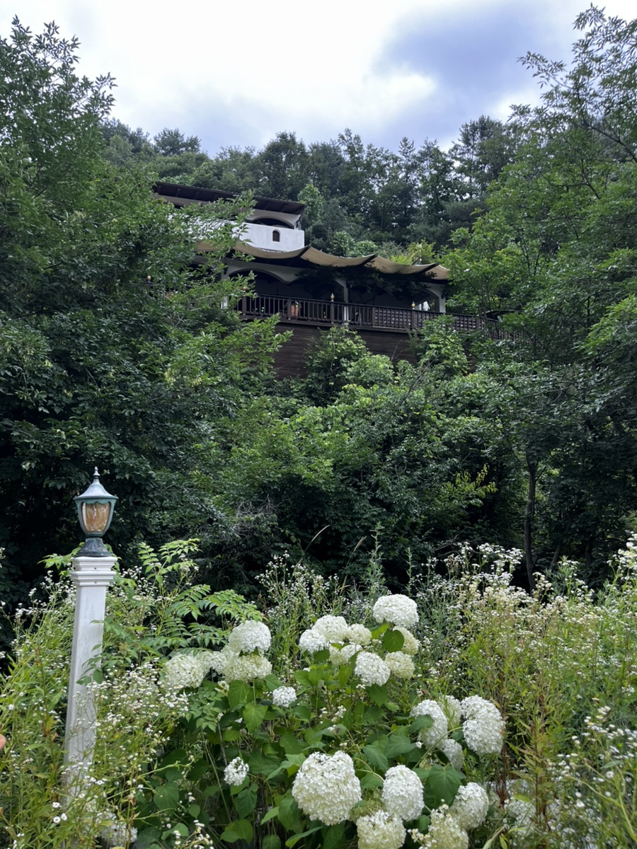 Rilri photo 2