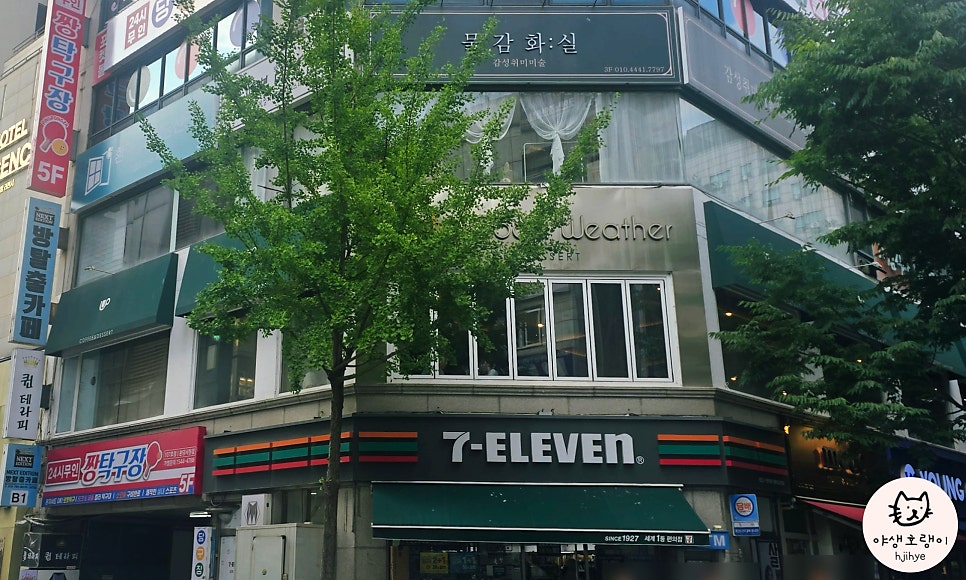 굿웨더 사진 2