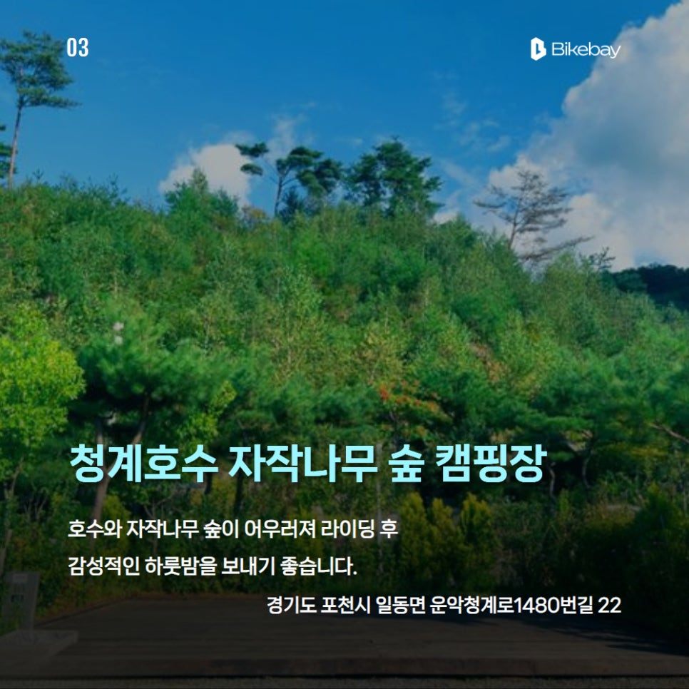 호명산잣나무숲속캠핑장 사진 4