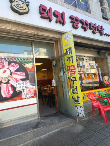 돼지꿈꾸던날 사진 1