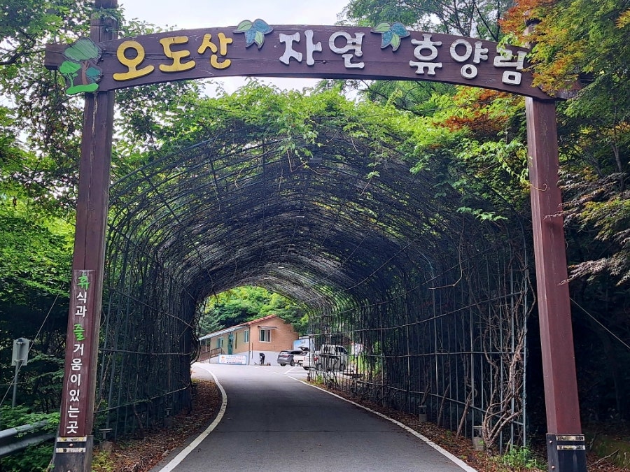 오도산 치유의숲 사진 2