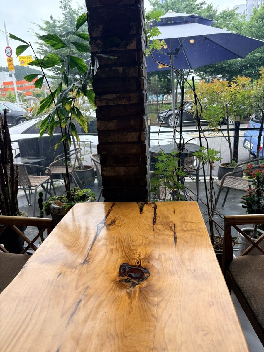 레드블랙 사진 5