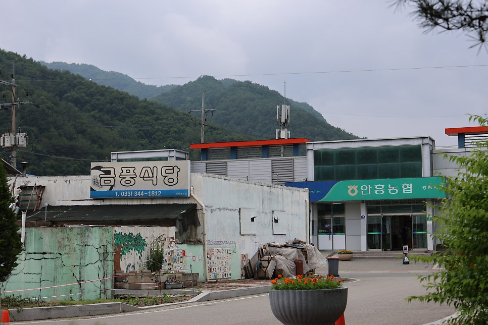 금풍식당 사진 2