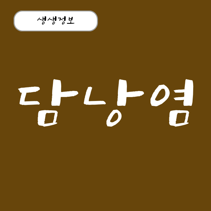담낭염 초기 증상(급성, 만성) 위치와 자가진단법