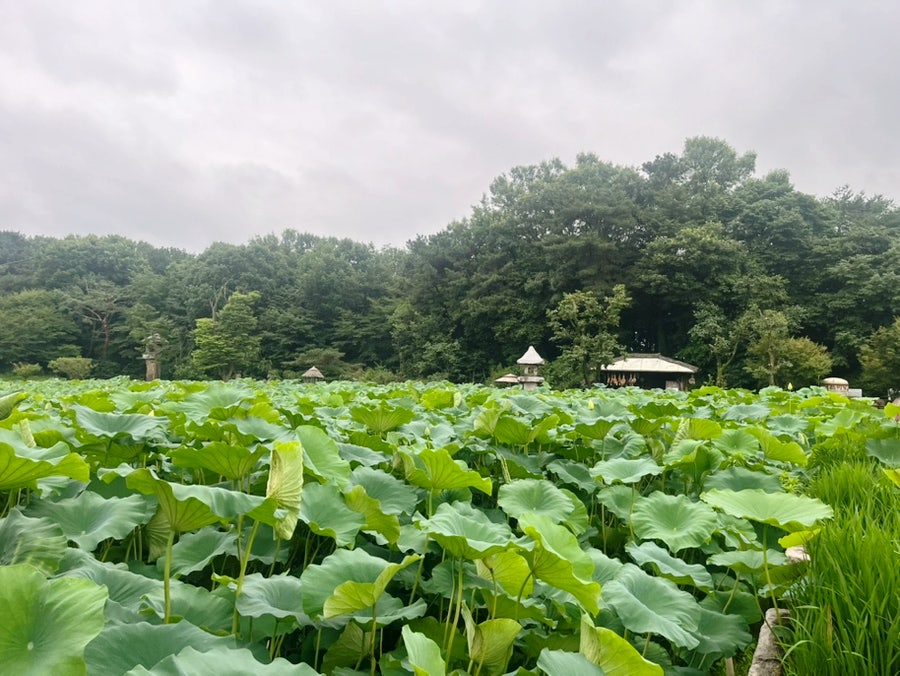 한옥식당 사진 4