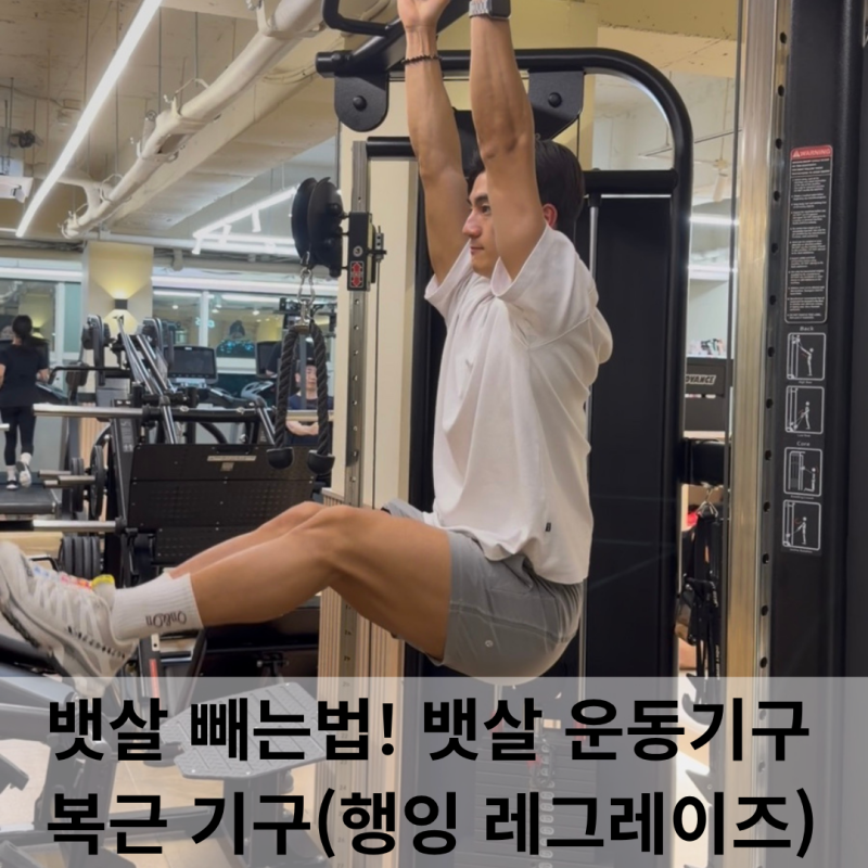 [연신내 헬스장] 뱃살 빼는법! 헬스장 기구 추천 : 뱃살 운동기구. 복근 운동기구(행잉 레그레....