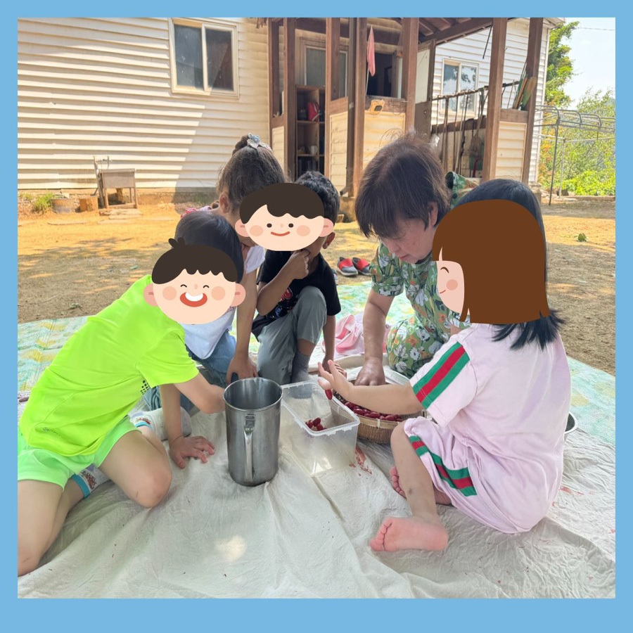 보리수 사진 5