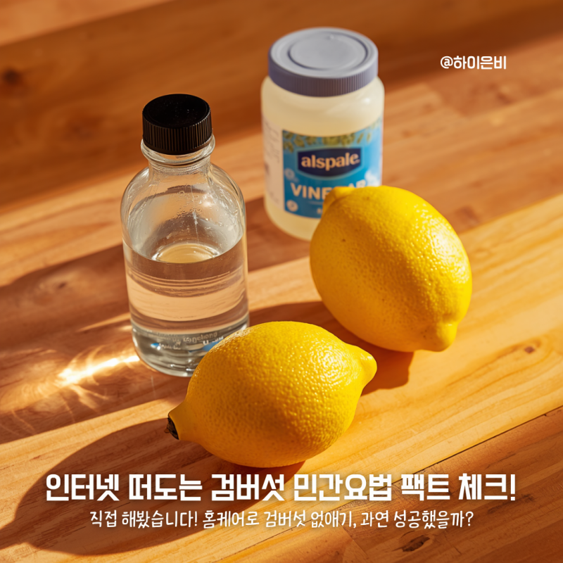 검버섯없애는법 식초세안 바세린팩 레몬스킨 해답은?