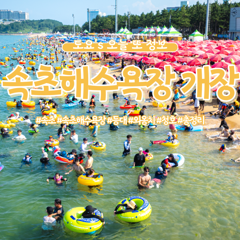 속초해수욕장 2026 개장 | 운영 기간부터 야간개장·축제·주차정보까지 총정리