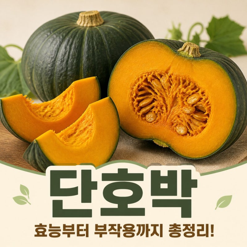 【건강】 단호박 효능 칼로리부터 부작용까지 총정리