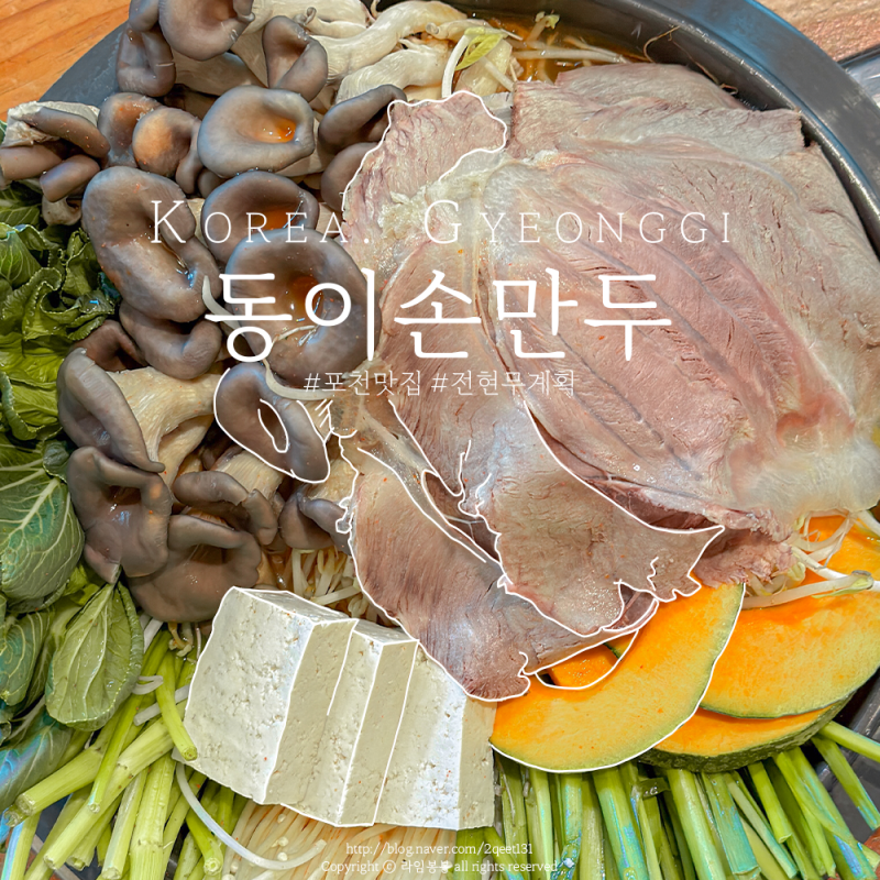 전현무계획 출연, 포천 국립수목원 근처 맛집 동이손만두