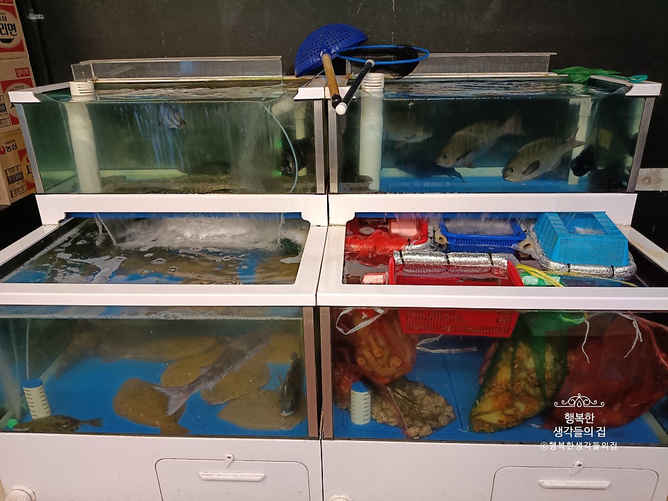 어복수산 사진 4